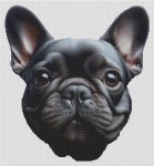 (image for) Black French Bulldog